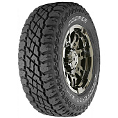 Discoverer ST Maxx